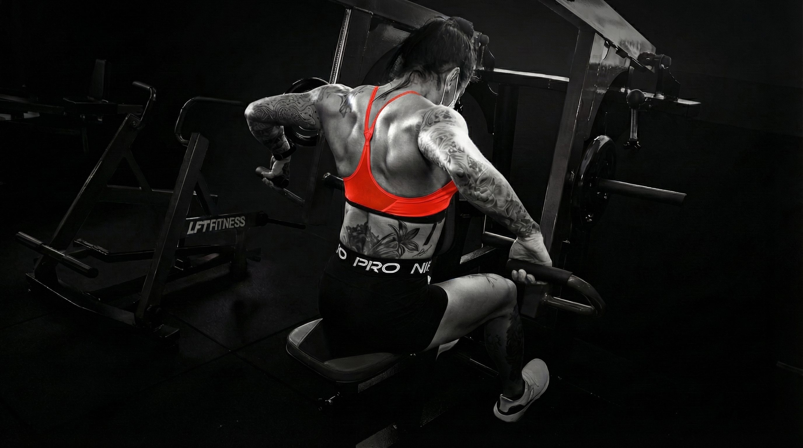 Equipamentos de musculação